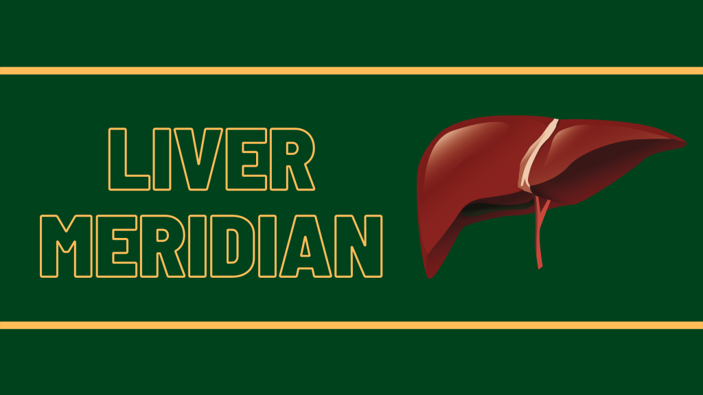 Liver Meridian: Digestion Meridians