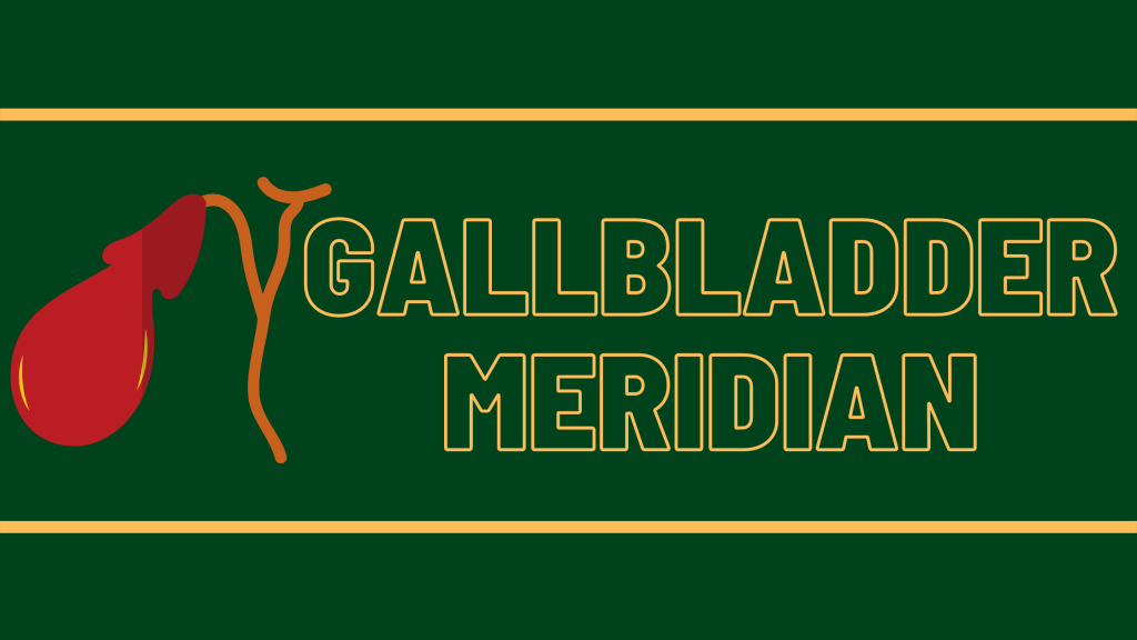 Gallbladder Meridian: Digestion Meridians