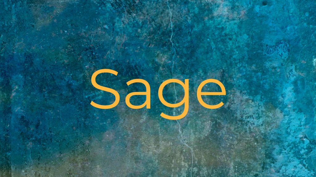 Sage Archetype