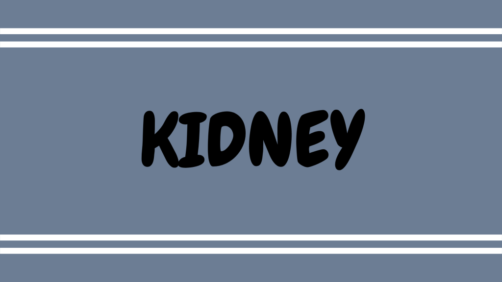 kidney meridian