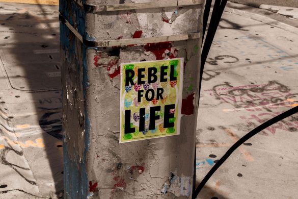 Rebel for Life - Appendix Meridian Archetype