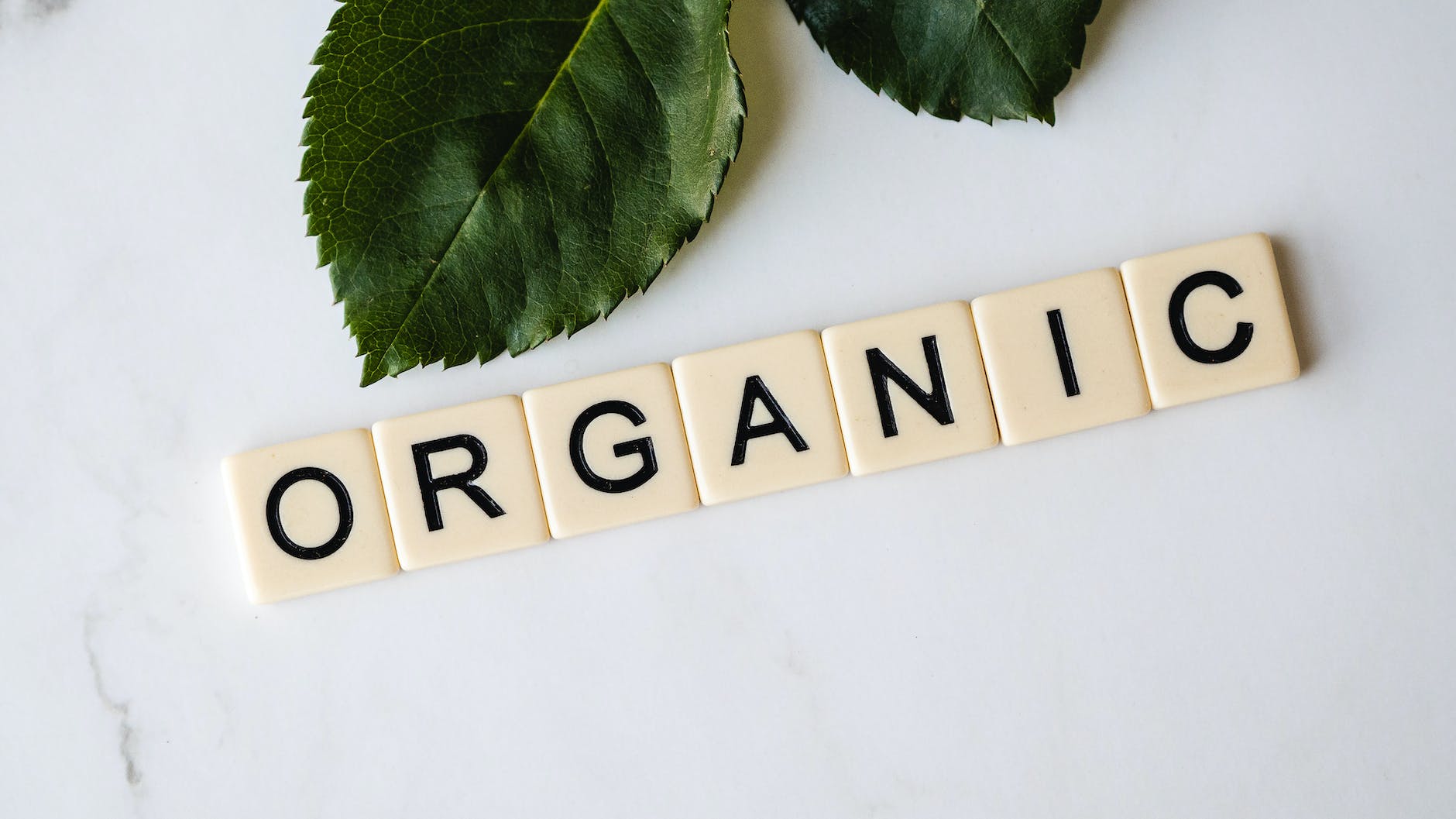 green leaves and organic word - Lifestyle Changes for Hormonal Imbalances
